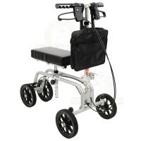 Free Spirit Knee Walker Standard Photo