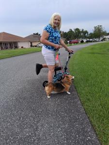  using a Swivelmate Knee Walker from Summerfield Florida July 2025