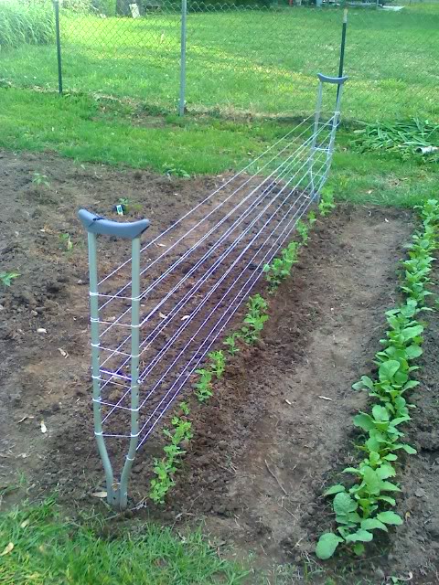 Crutches into Garden Trellis