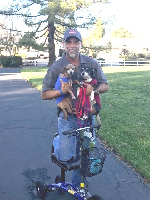 In a park, a man stands with his knee scooter, cradling two adorable puppies in his arms.