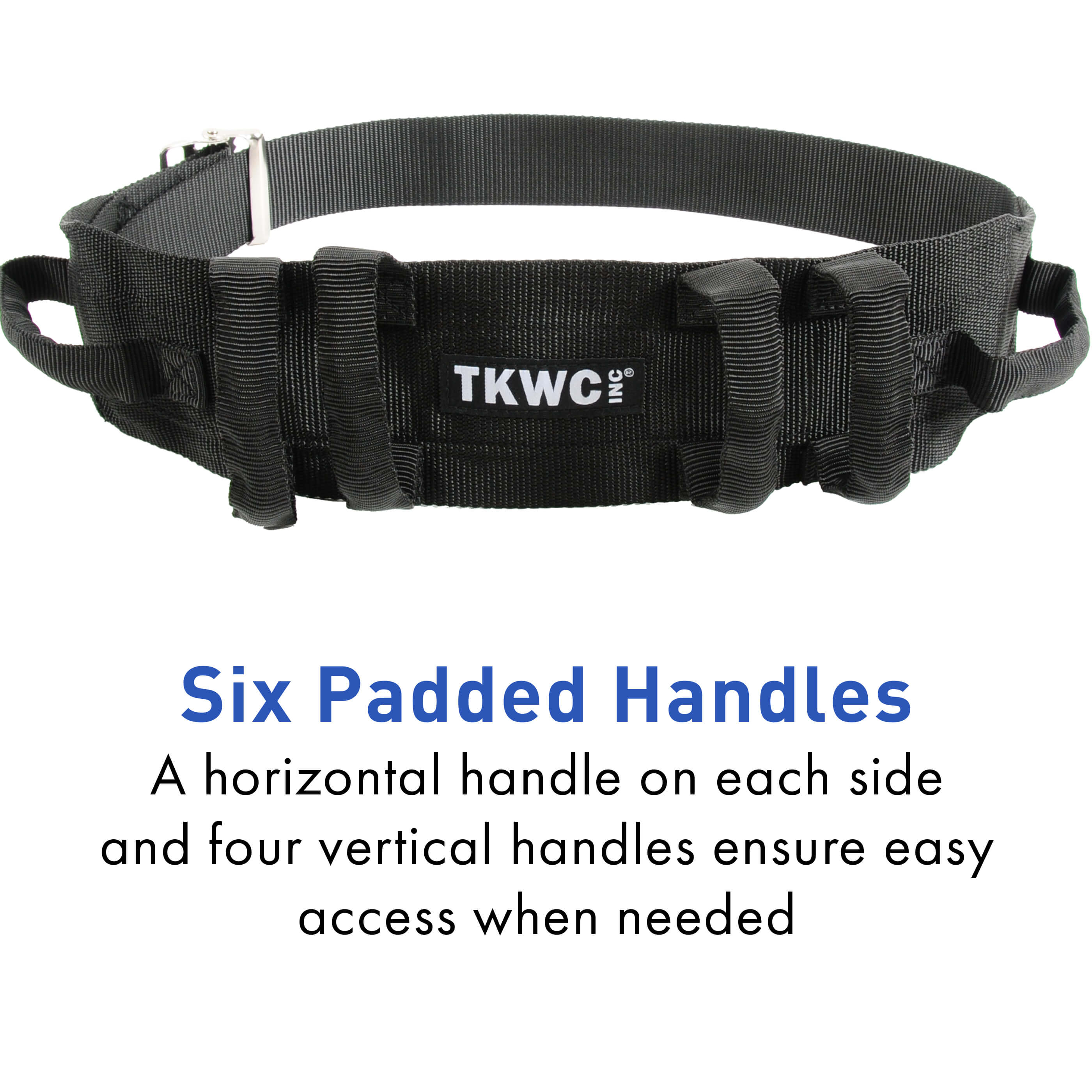 What Is A Transfer Belt what-is-a-transfer-belt