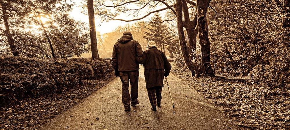 The Best Walking Canes Large Image